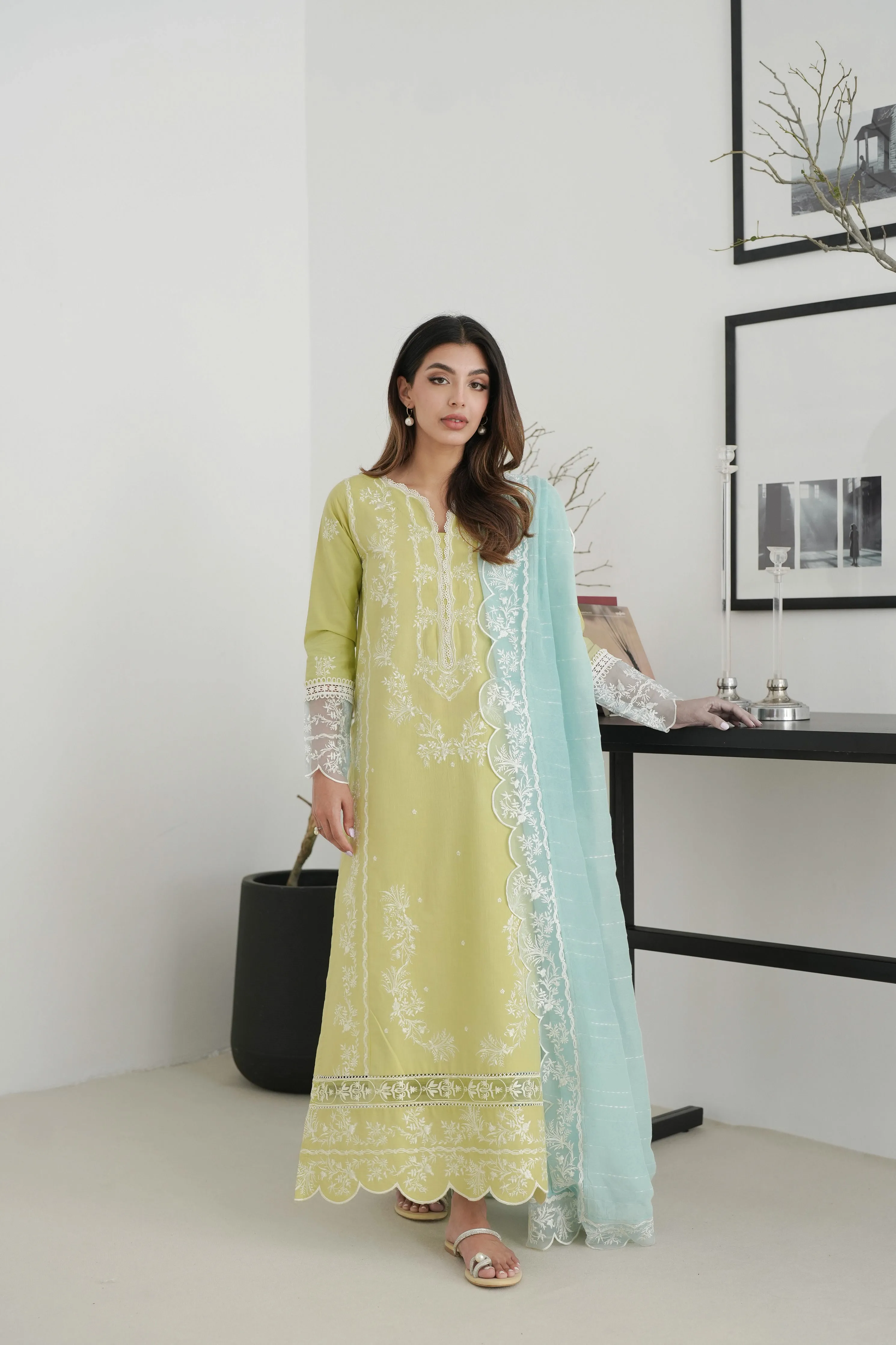 Pistachio Embroidered Lawn Set EID UL AZHA ‘24 NEL-24620 (Express Delivery)