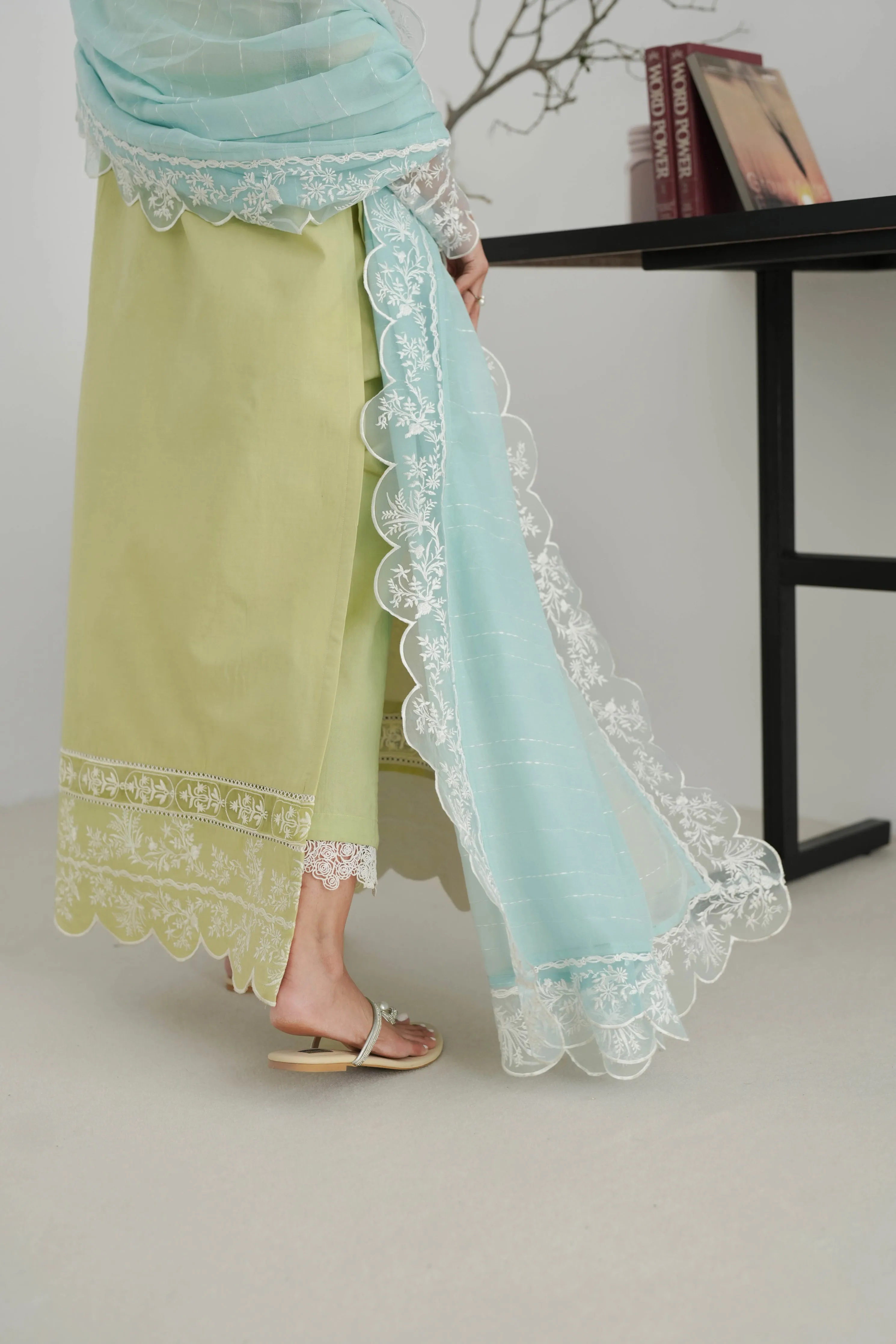 Pistachio Embroidered Lawn Set EID UL AZHA ‘24 NEL-24620 (Express Delivery)